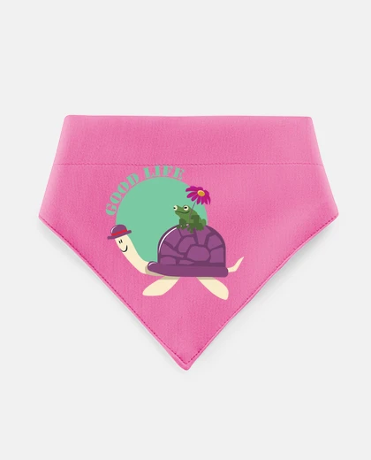 Mascotas monsieur tortue et madame grenouille