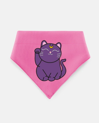 Mascotas moon cat