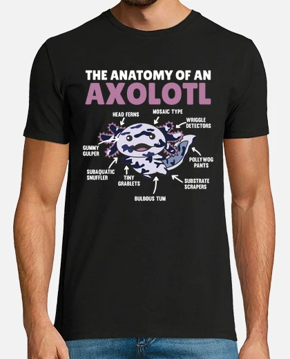 Mosaic Axolotl Explanation Anatomy Of - Main Image
