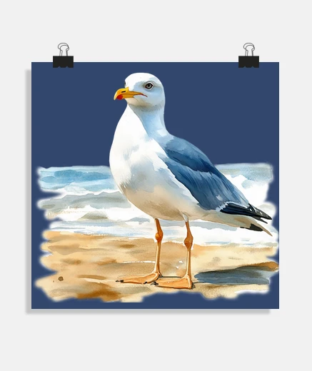 Poster mouette aquarelle marine goeland poster bureau salon atelier restaurant bistrot stand salle boutique