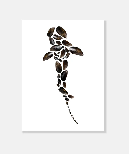 Tableau moules de baleine