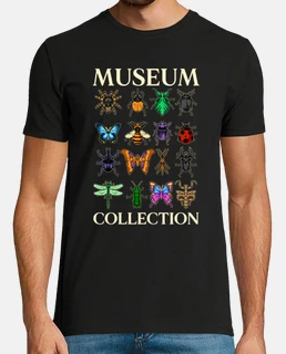 musée de la collection d39insectes et d