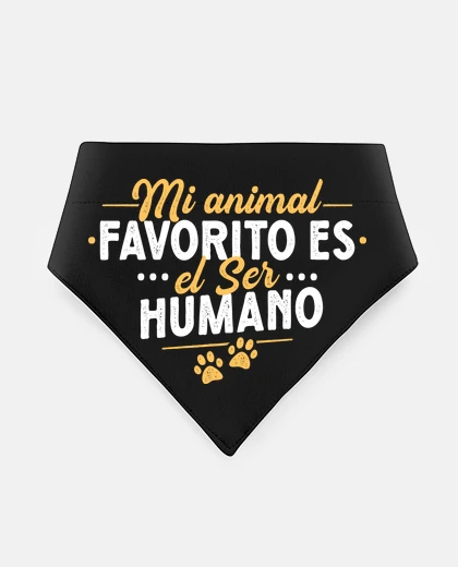 Mascotas my favorite animal is