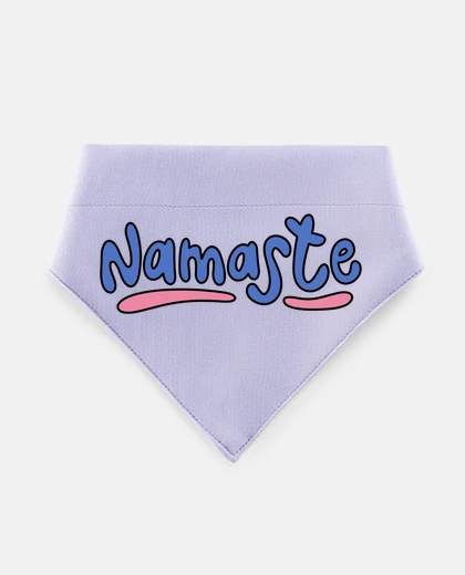 Mascotas namaste hindou indien inde hindouisme