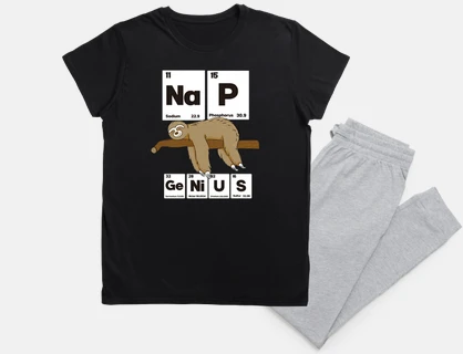 Nap Genius Sloth
