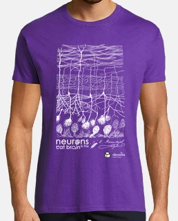 Neurons in the cat brain