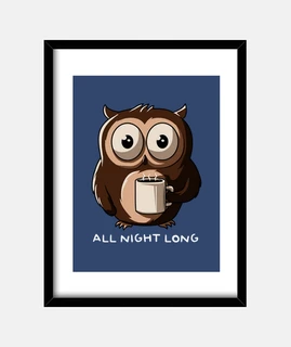 Night Owl
