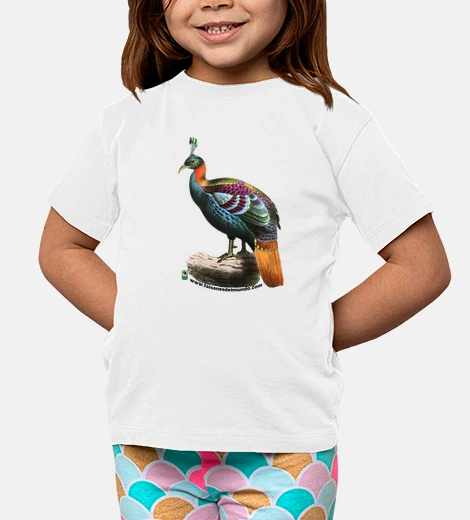 Niño, manga corta, blanco
