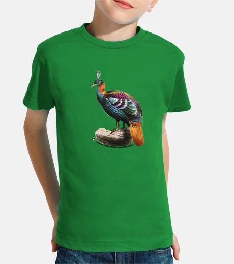 Niño, manga corta, verde