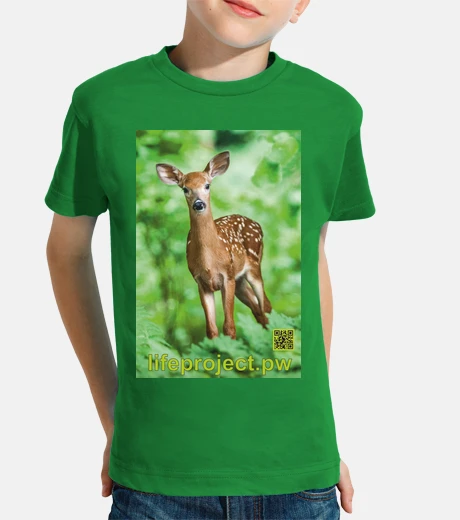 Ropa Niño, manga corta, verde
