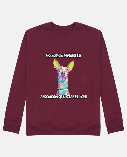Sudadera No somos invisibles 