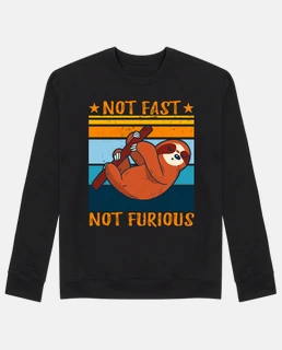 non veloce non furioso bradipo