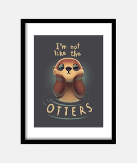 Not like the otters - Funny Animal - cute nutria