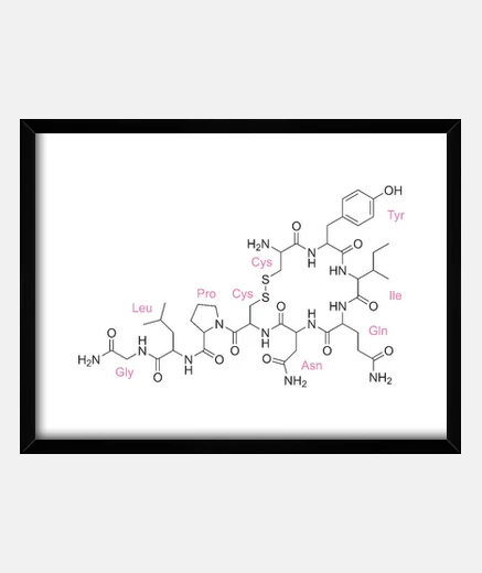 Cadre ocytocine
