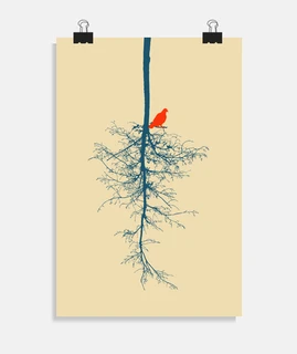 oiseau libre