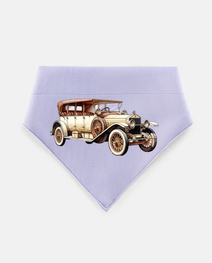 Mascotas old jalopy