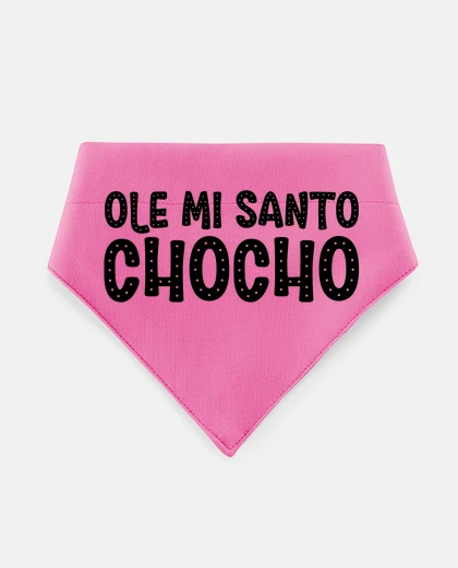 Mascotas Ole my holy pussy