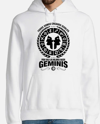 Best gemini hood sales