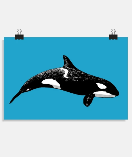 Poster orca p