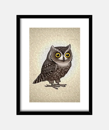 Quadro otus pocus