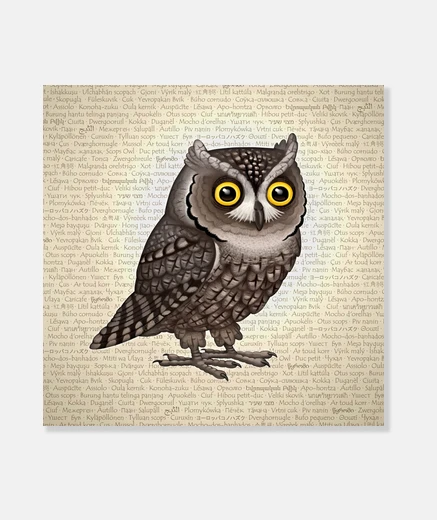 Tableau Otus pocus