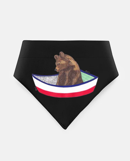 Mascotas ours dans un bateau