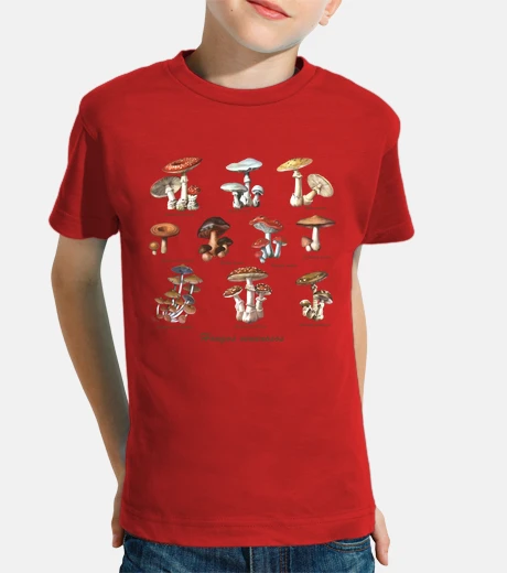 Vêtements ours venin aux champignons s