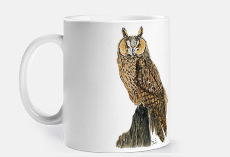 Cup owl boy