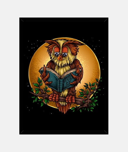 Framed owl frame with book night student night bird