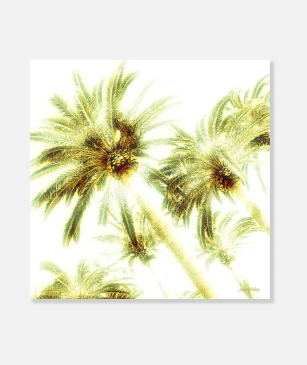 Tableau Palmiers by Jayco Tokay