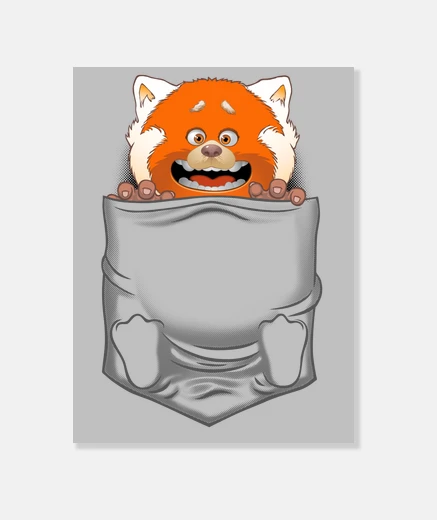 Wall panda in the pocket