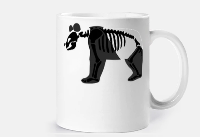 Cup panda skeleton