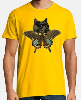 papillon chat