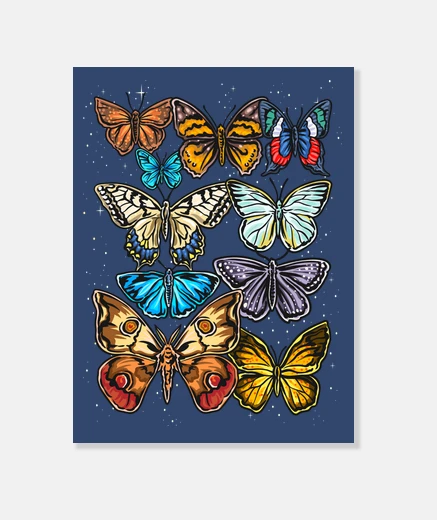 Tableau papillons jolis animaux insectes nature
