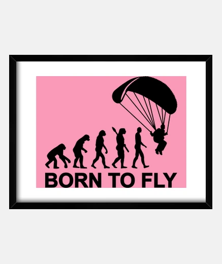 Quadro paracadutismo evoluzione born a fly