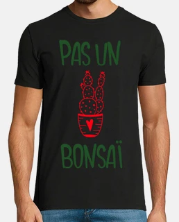 Pas un bonsai plante verte deco nature