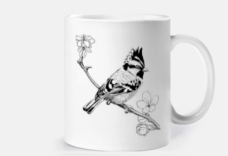 Tazza passero crestato su una ramo
