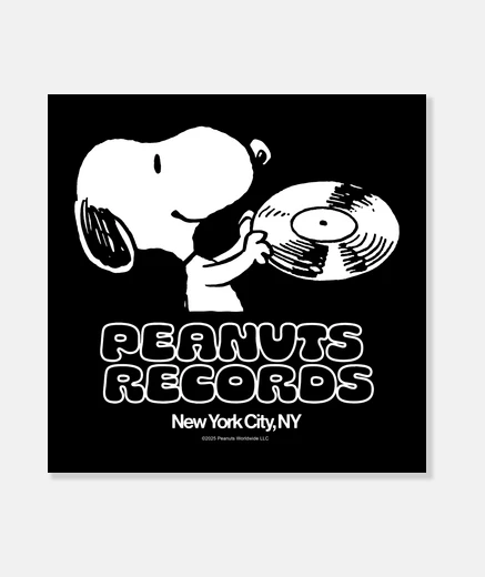 Lienzo Peanuts records New York City NY