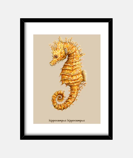 Cadre peinture &agrave; l'aquarelle seahorse hippocampus