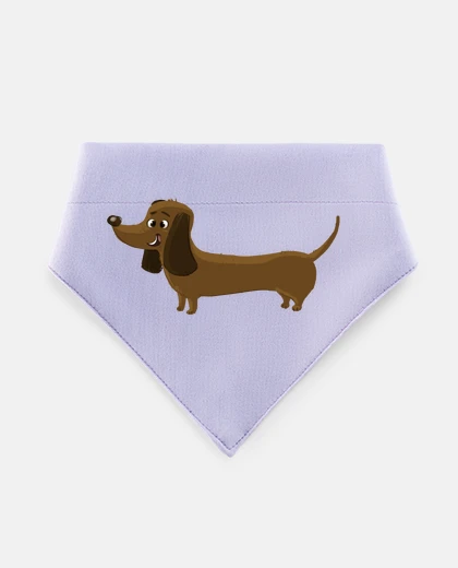 Mascotas Perro salchicha teckel