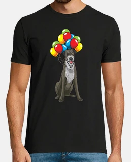perro lobo irlandés con globos