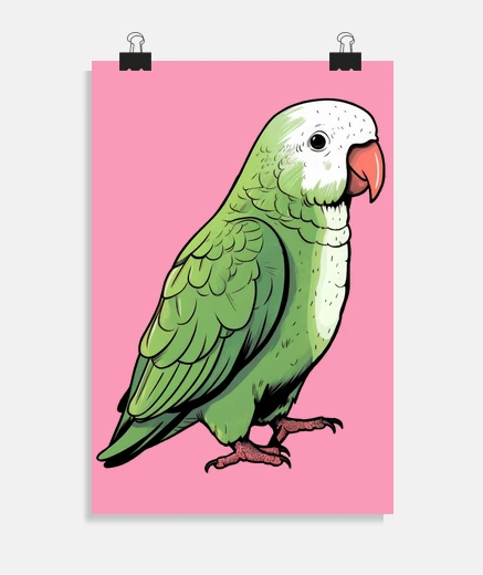 Poster perruche Conure veuve verte affiche magasin mode chambre salon poster 