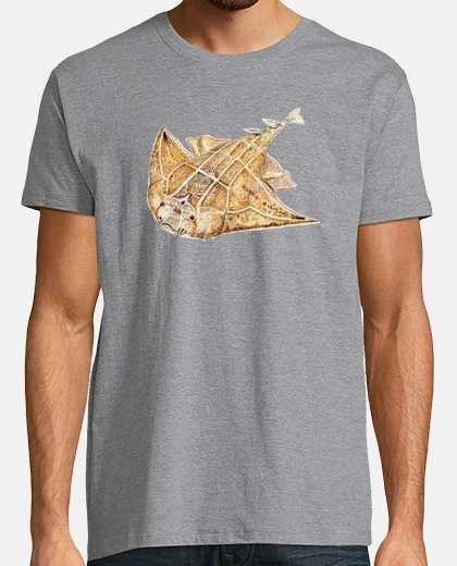 T-shirt pesci angelo, angelo squalo t-shirt da uomo