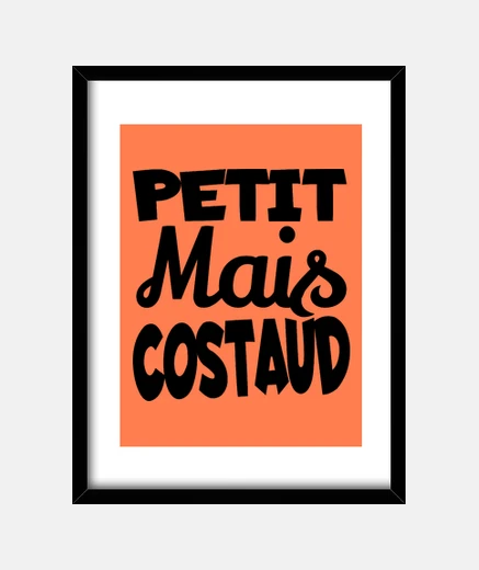 Cadre petit mais costaud