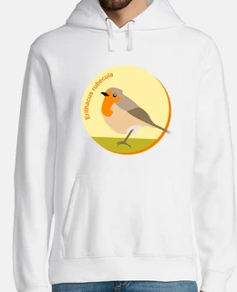 Pettirosso europeo - erithacus rubecula