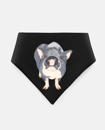 Mascotas pig panciuto