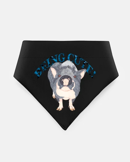 Mascotas pig panciuto è carino