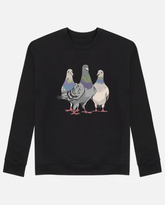 Pigeon Carrier Pigeons Birds Pigeon