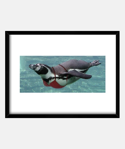 Cuadro Pingüina tetona