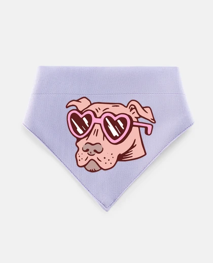 Mascotas pitbull terrier dello staffordshire